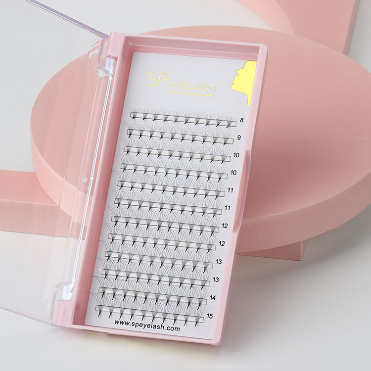 Ekstensi eyelassi vs vs voli - gaya sing paling apik kanggo sampeyan?