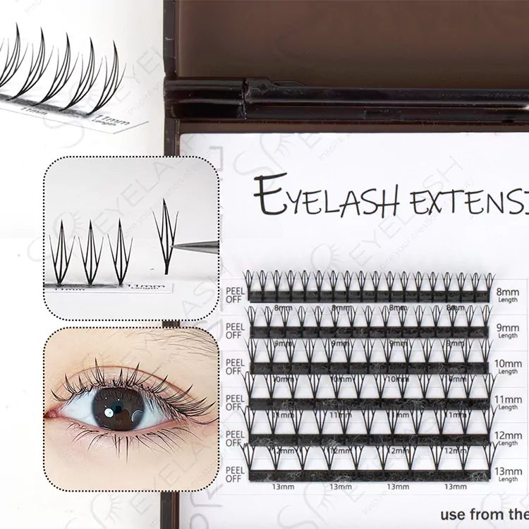 Anime lash