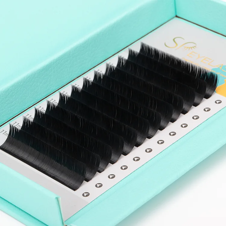 Ekstensi eyelassi
