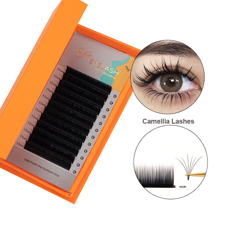 Lashes volume ontellia kanthi gampang