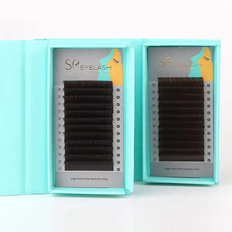LASH SCEHIESSION SPESCONE